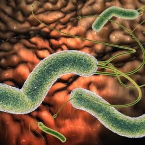 Parasites in the body